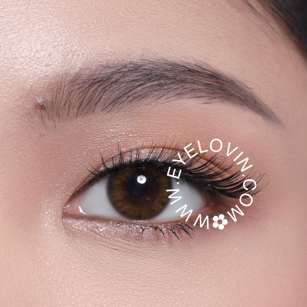  Warna  Softlens  Yang  Cocok  Untuk  Mata  Coklat Berbagai 